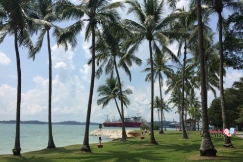 picnic places singapore pasir ris park