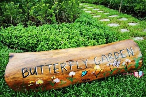 Bukit Gombak Park Butterfly Garden