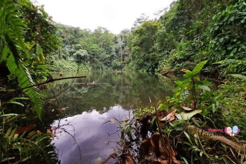 Seng Chew Quarry Singapore