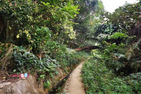 Seng Chew Quarry Walking Trail