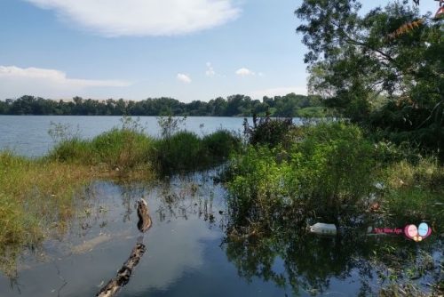 Tampines Quarry Lake