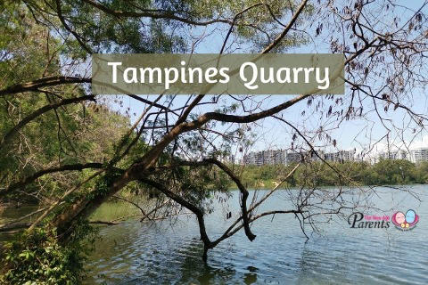 Tampines Quarry Singapore