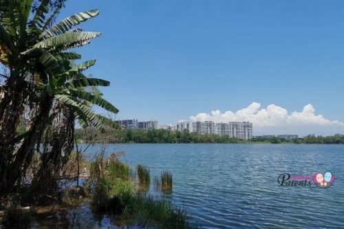 abandoned tampines quarry