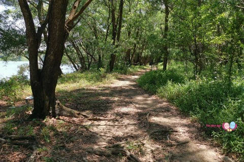 tampines quarry trail