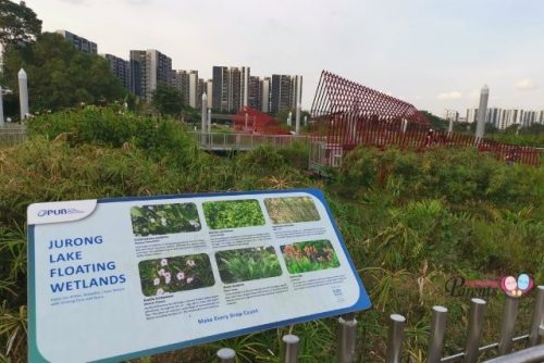 Floating Wetlands Jurong Lake Gardens