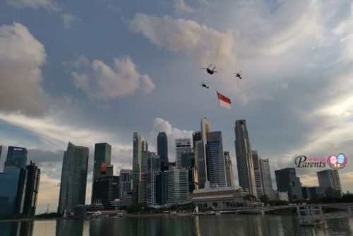 NDP 2024 Rehearsal Dates State Flag Flypast