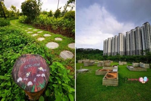 Allotment Garden at Bukit Gombak Park