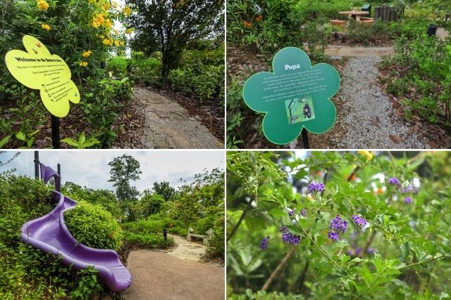 Butterfly maze at Jurong Lake Gardens