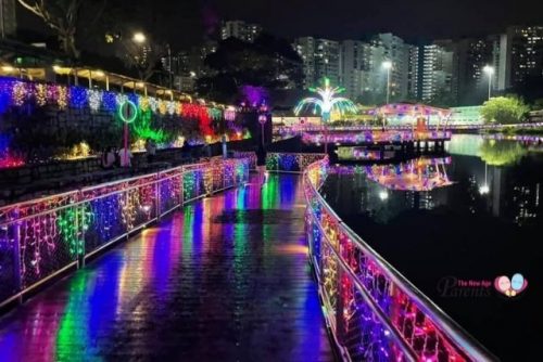 Deepavali Pang Sua Pond