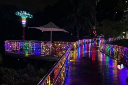 Pang Sua Pond Deepavali Light Up