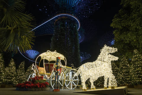 Christmas Wonderland Light Display-Magical Carriage