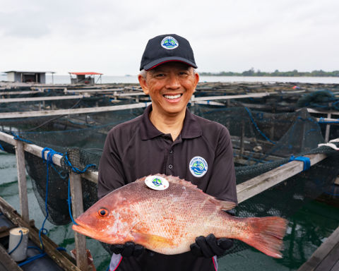 The Fish Farmer