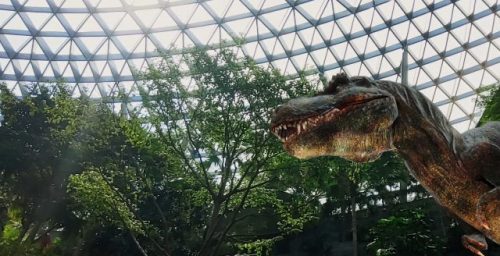 Singapore: New Jewel Changi Airport is a treat for jungle lovers [PHOTOS]