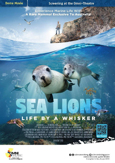 Omni-Theatre - Sea Lions