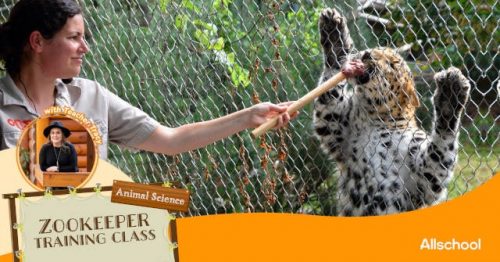 Allschool Singapore Zookeeper