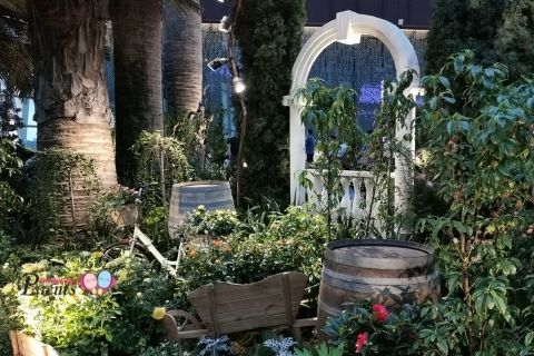 Rose Romance floral display GTB