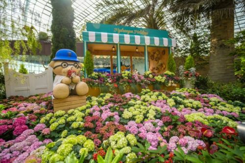 Gardens by the Bay Hydrangea Holidays Floral Display