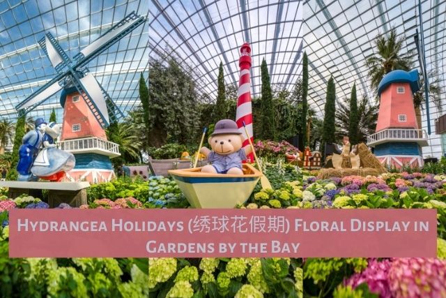 Hydrangea Holidays floral display