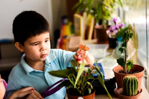 Mosaic Preschool Eunos is Open for Enrolment