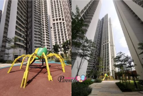 Spider Playground SkyOasis Queenstown