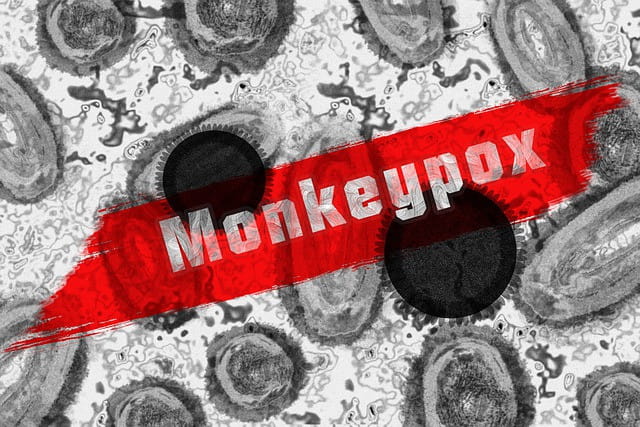 Monkeypox Virus: How it Spreads and What it Does to the Human Body?