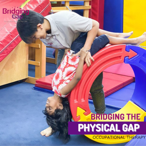 Bridging the Gap Early Intervention Programme