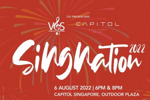 Fun Things To Do This National Day In Singapore 2022