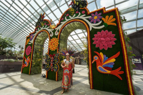 Hanging Gardens Mexican Roots Floral arch