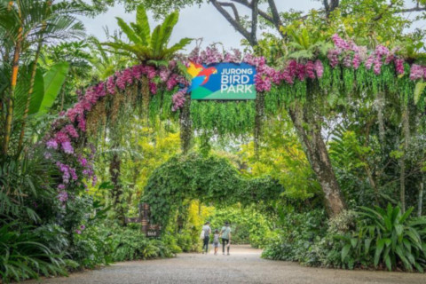 Jurong Bird Park celebrates its final flight