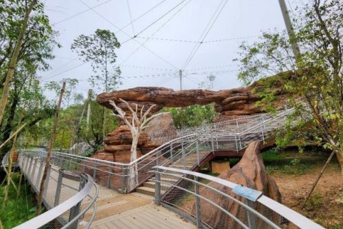 Australian Outback habitat Bird Paradise Mandai Wildlife Group