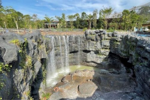 Bird Paradise Waterfall Mandai Wildlife Group