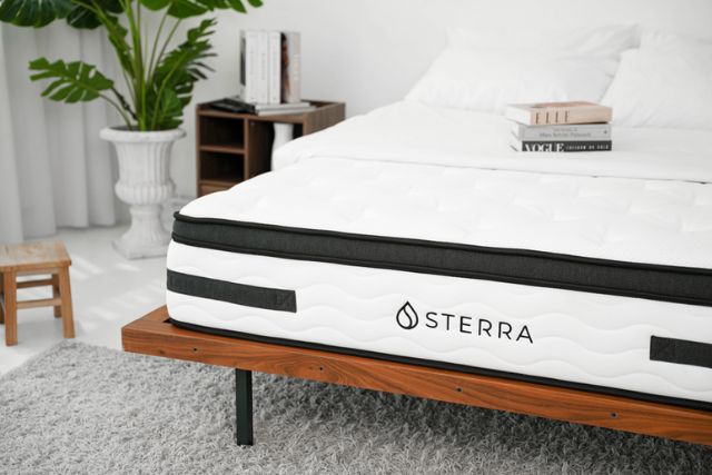 Sterra Wave Mattress