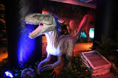 Mega Carnival Dinosaur Themed Exhibits