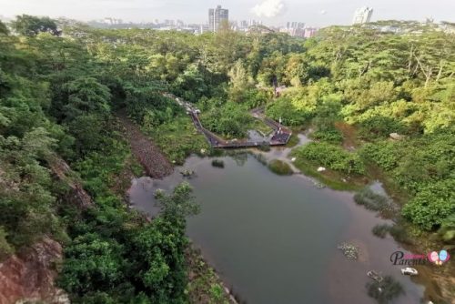 Hiking in Singapore: 18 Amazing Walking Trails For Trekkers To Try