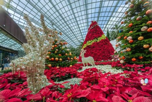 Seasons of Bloom Floral Display