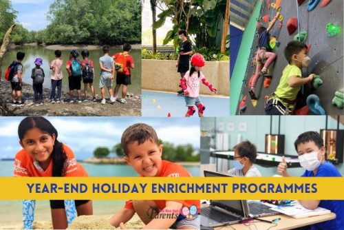 Year-end Holiday Enrichment Programmes