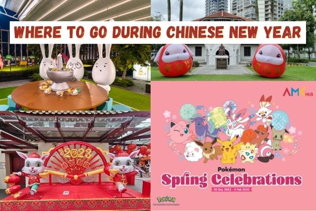 chinese-new-year-flower-market-singapore-best-flower-site