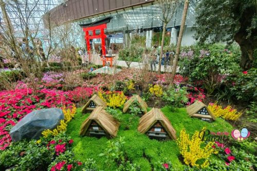 Sakura Flora Display Flower Dome