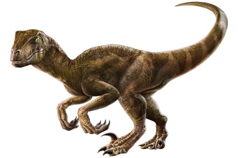 NEX Velociraptor from The Raptor Encounter