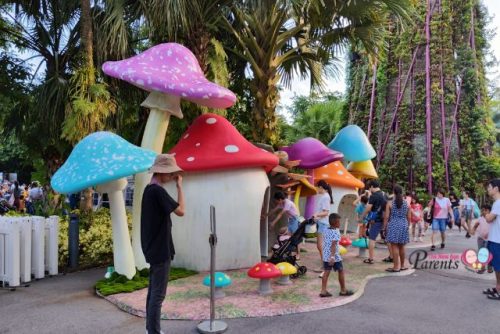 Children's Festival 2023 Musical Mushrooms