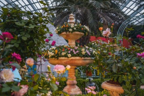 Rose Romance Flower Dome