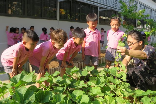 SHHK Chinese Preschool Upper East Coast