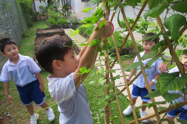 Singapore Hokkien Huay Kuan SHHK Preschool