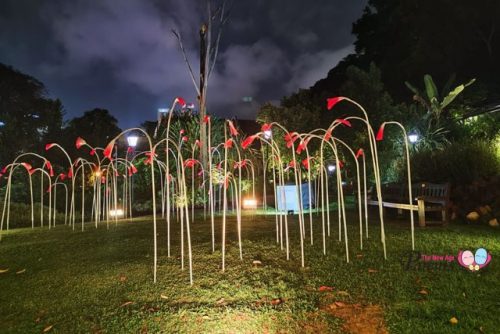 Festival at the Fort Love Grass Light Installation