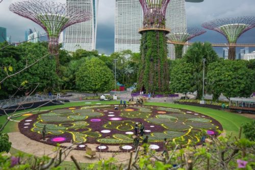 Gardens by the Bay Singapore's Largest Flower Carpet
