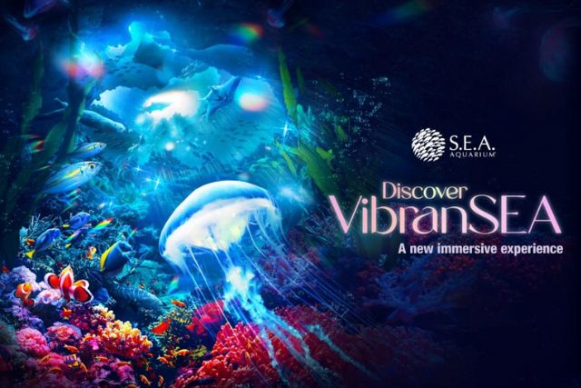 RWS S.E.A. Aquarium VibranSEA