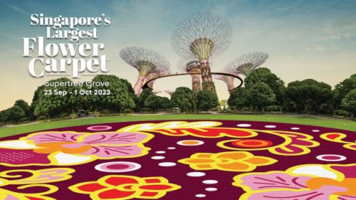 Singapore's Largest Flower Carpet at Gardens by the Bay