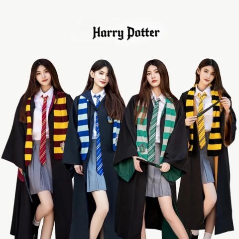 Harry Potter Costumes for Halloween