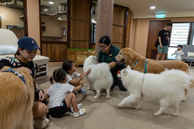 Kidzworld Singapore Zoo Canin