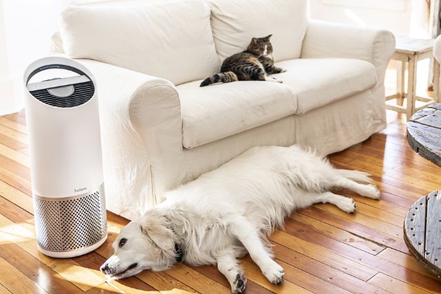 TruSens Air Purifier for Pets